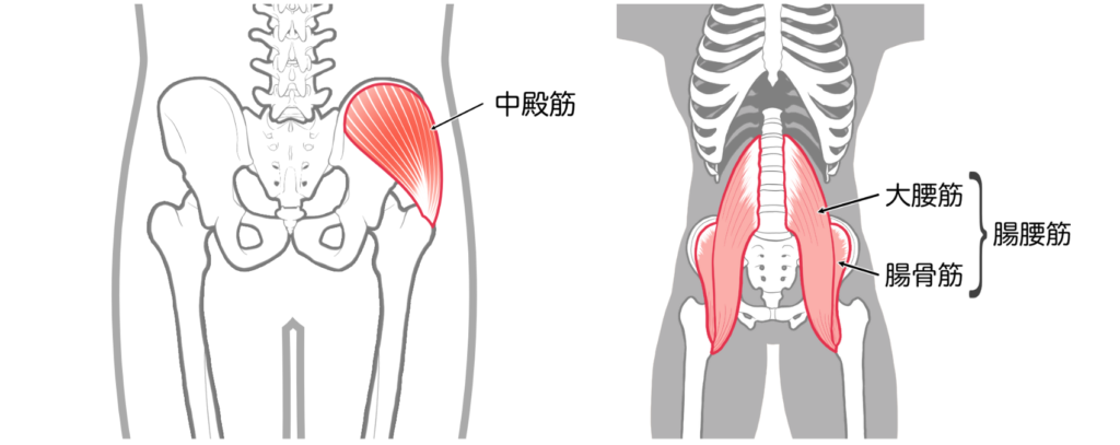 knee-pain_reasons_1-1