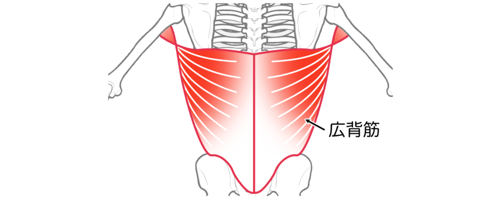 knee-pain_reasons_2