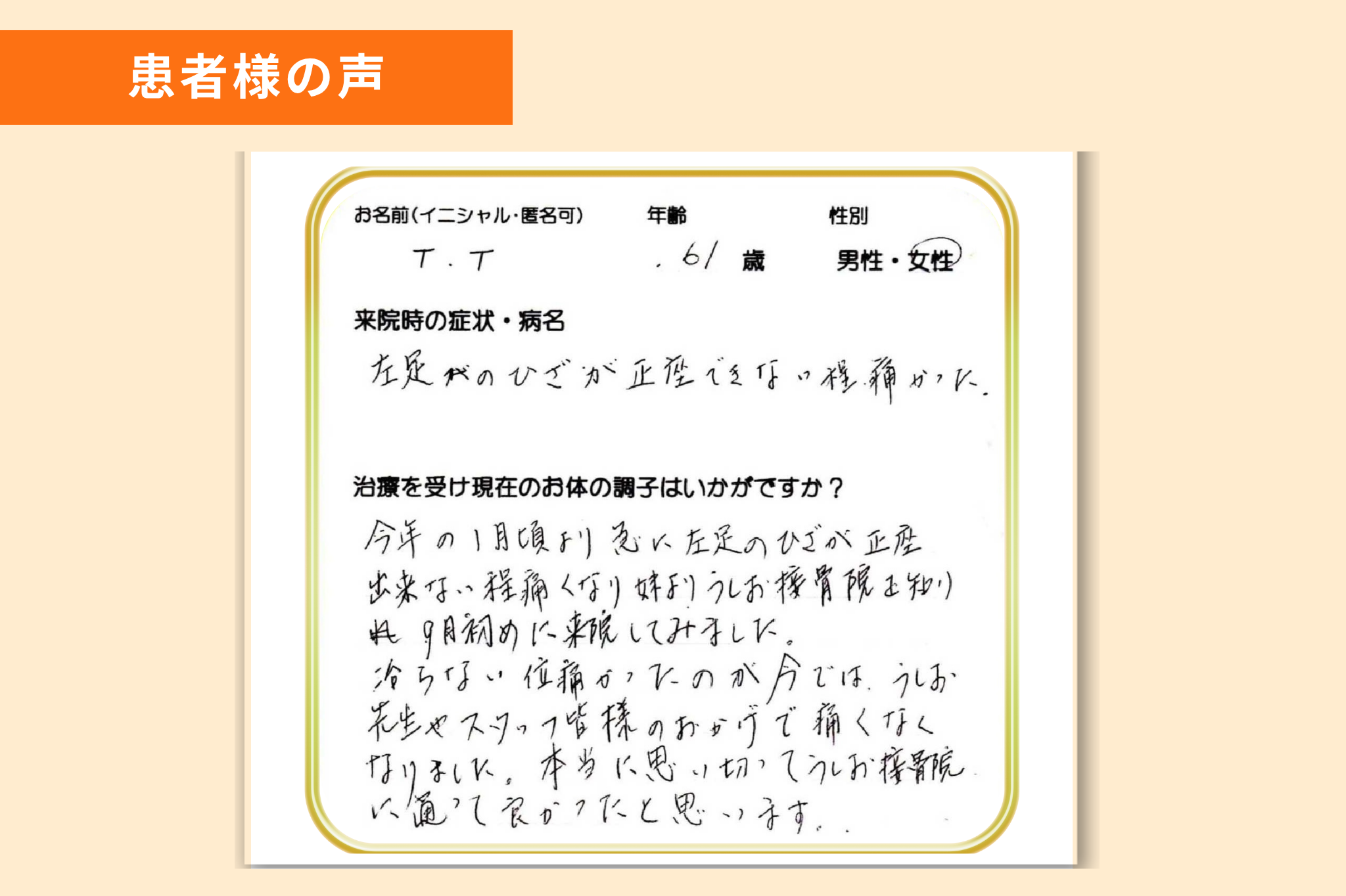 voice_knee02