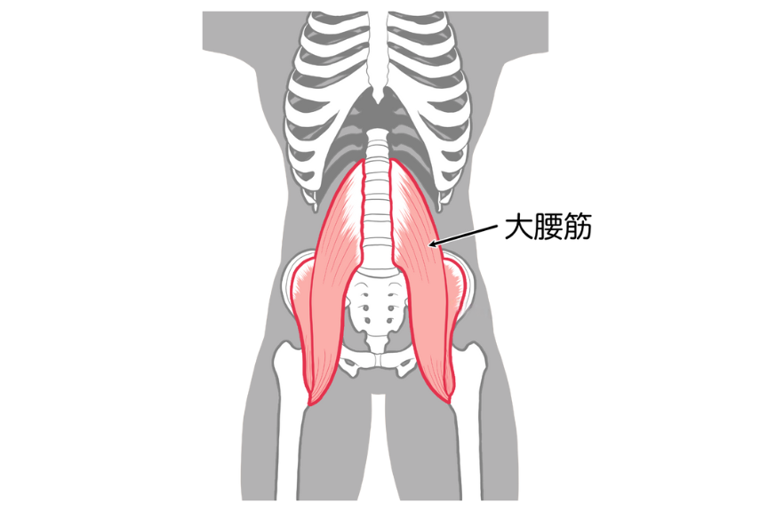 ushi-sekkotu-spinal canal stenosis-01